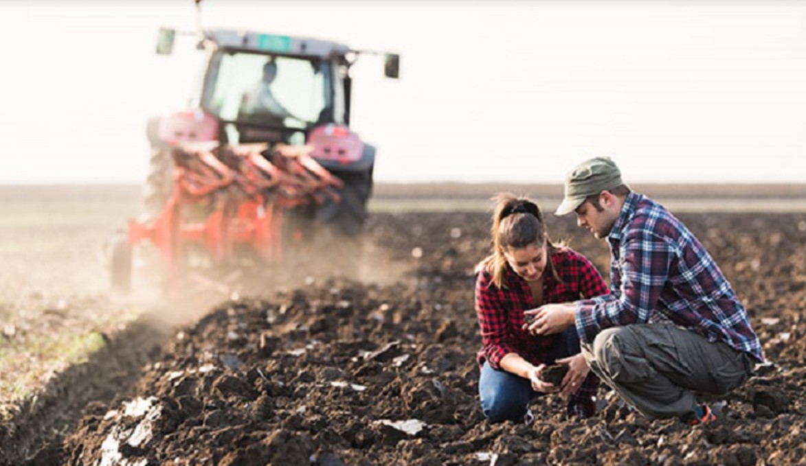 Γεωργικές Συμβουλευτικές Υπηρεσίες: Έως 14/2/25 η  διαβούλευση 